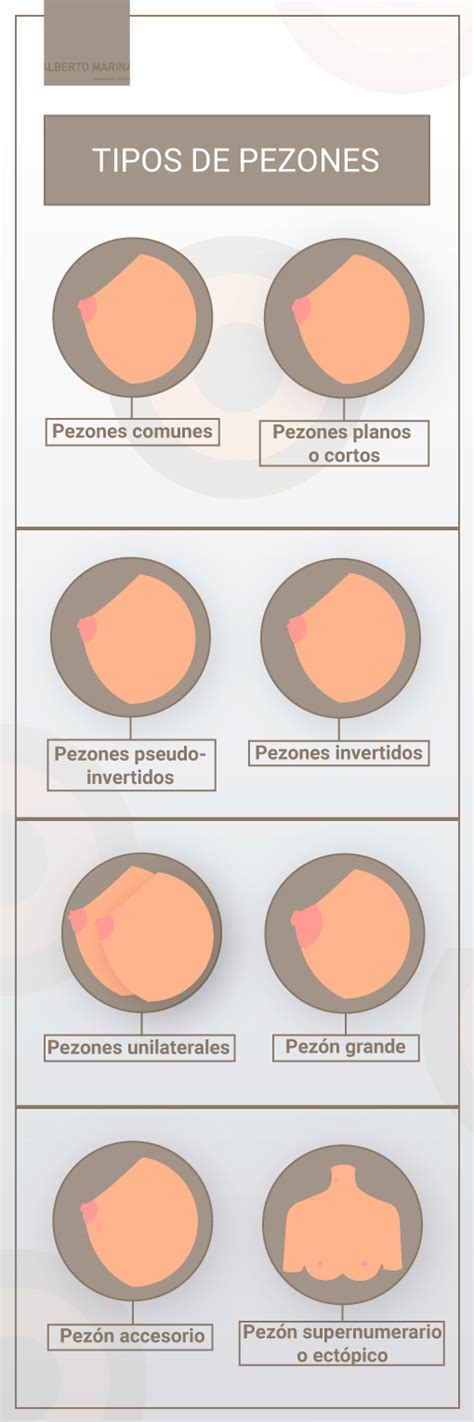 tetas paradas|9 TIPOS de PEZONES y sus características .